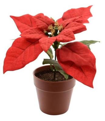 Poinsettia zijde pot d16h14 cm kerstrood kerst Decoris - Decoris Poinsettia zijde pot d16h14 cm kerstrood kerst Decoris - Decoris