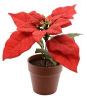 Poinsettia zijde pot d16h14 cm kerstrood kerst Decoris - Decoris - thumbnail