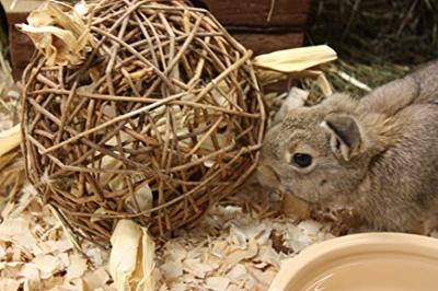 HAPPY PET SPEELBAL WILG NATURE FIRST 17X17X17 CM - thumbnail