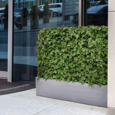 Hedera kunstheg 80x25x56cm - UV bestendig