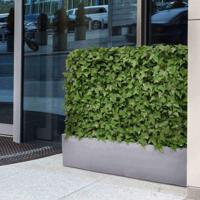 Hedera kunstheg 80x25x56cm - UV bestendig - thumbnail