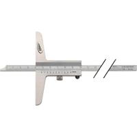 Helios Preisser Diepteschuifmaat | 300 mm | recht meetrail 12 x 4 mm | 1 stuk - 0282505 - 0282505 - thumbnail