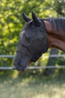 Vliegenmasker met oor en neus bescherming pony - thumbnail