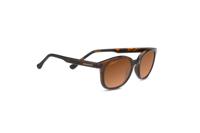 Serengeti Sunglasses 8773 Mara 51 Shiny Tortoise - thumbnail