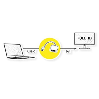 ROLINE Beeldscherm Adapter USB Type C - DVI
