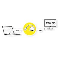 ROLINE Beeldscherm Adapter USB Type C - DVI - thumbnail