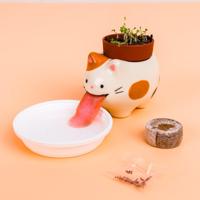 Kat bloempotje met aardbeienplantje - thumbnail