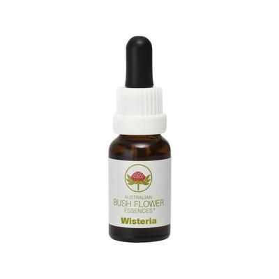 Australian Bush Wisteria 15 Milliliter Australian Bush Wisteria 15 Milliliter