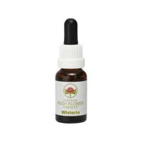 Australian Bush Wisteria 15 Milliliter - thumbnail
