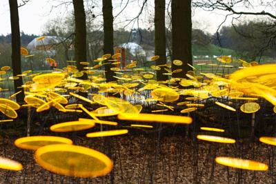 7 stuks! Zonnevangers Geel groot 175x20 cm Cazador Del Sol - Cazador del sol 7 stuks! Zonnevangers Geel groot 175x20 cm Cazador Del Sol - Cazador del sol