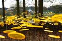 7 stuks! Zonnevangers Geel groot 175x20 cm Cazador Del Sol - Cazador del sol - thumbnail