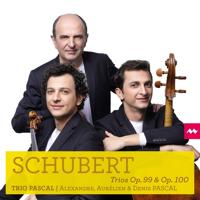 Schubert Trios Op. 99 & Op. 100 - CD (5400863046972) - thumbnail