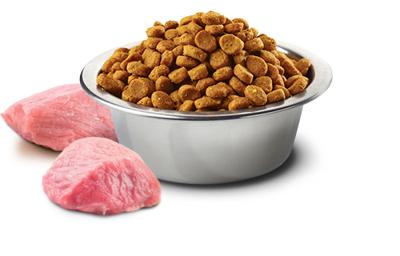 N&D PUMPKIN DOG CHICKEN & POMEGRANATE ADULT MINI 7 KG