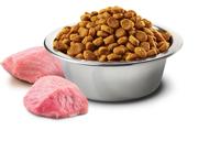 N&D PUMPKIN DOG CHICKEN & POMEGRANATE ADULT MINI 7 KG - thumbnail