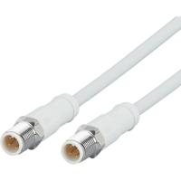 ifm Electronic EVF531 Verbindingskabel Aantal polen (sensoren): 4 Stekker, recht 2 m 1 stuk(s) - thumbnail