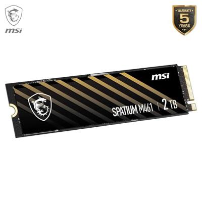 MSI SPATIUM M461 PCIe 4.0 NVMe M.2 2TB MSI SPATIUM M461 PCIe 4.0 NVMe M.2 2TB