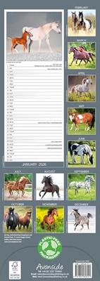 Paarden Kalender 2026 Slimline