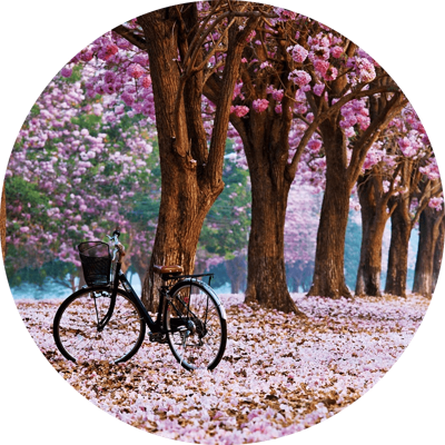 Glasschilderij Herfst