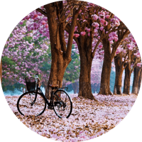 Glasschilderij Herfst - thumbnail