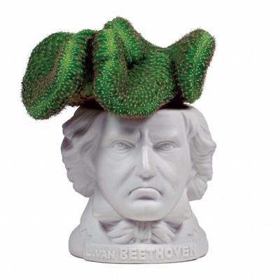 UPG Planter - Ludwig von Beethoven UPG Planter - Ludwig von Beethoven