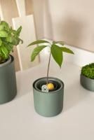 Amazing avocado pot blad groen elho - Elho - thumbnail