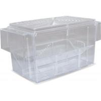 Guppytank drijvend klein - thumbnail