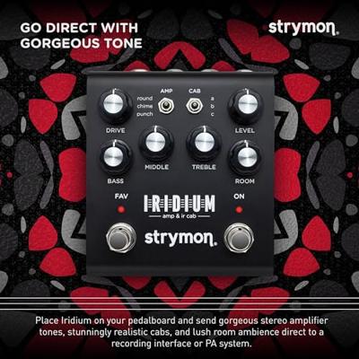 Strymon Iridium Amp Modeler & Impulse Response Cabinet