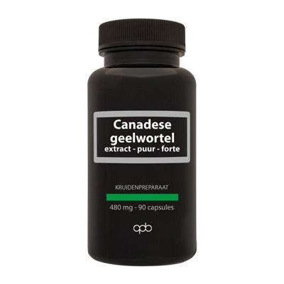 APB Holland Canadese geelwortel extract puur forte 480mg 90 Vegetarische capsules