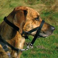 Trixie hondentuig top trainer anti-trek tuig zwart - thumbnail