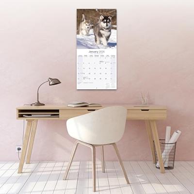 Alaskan Malamute Kalender 2026
