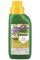 Pokon Bloeiende Planten Voeding 250ml - thumbnail