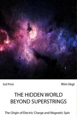 The Hidden World Behind Superstrings - Wim Vegt - ebook