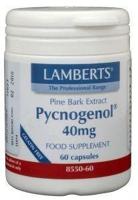 Lamberts Pycnogenol 40 mg Capsules - thumbnail