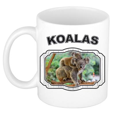 Dieren liefhebber koala mok 300 ml - koalaberen beker - feest mokken Dieren liefhebber koala mok 300 ml - koalaberen beker - feest mokken
