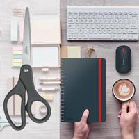 Leitz schaar, ft 20,5 cm, rechts en links, scherpe punt, titanium, grijs, blister van 1 stuk - thumbnail