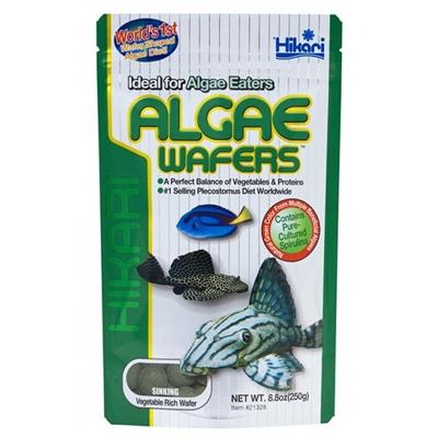Algae Wafers 250 Gr vissenvoer Hikari - Hikari