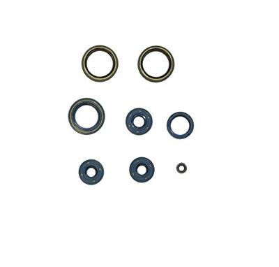 ATHENA motor-keerring set motorshield 125 sintesi rotax,