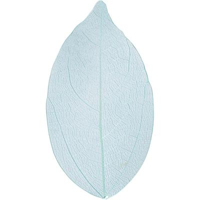 Creativ Company Skeleton leaves , l: 6-8 cm, lichtblauw, 20 stuk/ 1 doos Creativ Company Skeleton leaves , l: 6-8 cm, lichtblauw, 20 stuk/ 1 doos