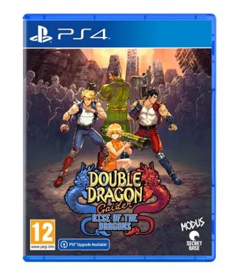 Double Dragon Gaiden: Rise of the Dragons