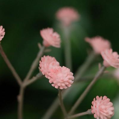 Gipskruid kunsttak 63cm roze