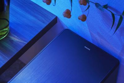 Philips TAFW1/10 Fidelio Subwoofer Zwart