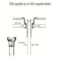 Sapim spaakverloopnippel spaak-13 velg-14 zilv. (500st) - thumbnail