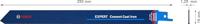 Bosch Accessories 2608900383 Expert Cement Cast Iron S 1750 RD reciprozaagblad, 1 stuk Zaagbladlengte 250 mm 1 stuk(s) - thumbnail