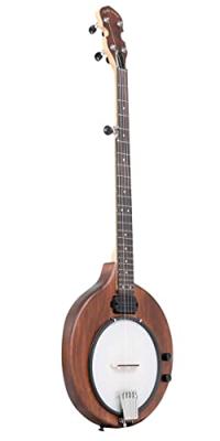Gold Tone EB-5 elektrische banjo, met draagtas