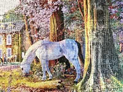 New Forest Ponies Puzzel 1000 Stukjes