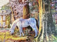 New Forest Ponies Puzzel 1000 Stukjes - thumbnail