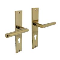 Intersteel Deurklink Bastian op schild 245x45 mm met profielcilindergat 72mm messing titaan PVD - thumbnail