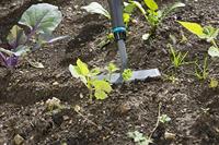 Gardena Natureline Schoffel 14cm - thumbnail