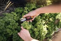 Fiskars Solid Snip kruidenschaar SP220 - thumbnail