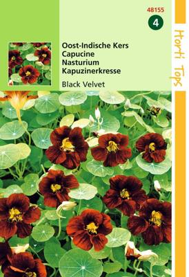 HT Tropaeolum, Oost-Indische Kers Black Velvet - Hortitops
